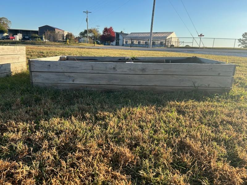 The new plot for the purple Picklers club to grow plants, fruits, and vegetables.